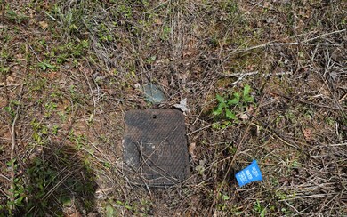 Additional View