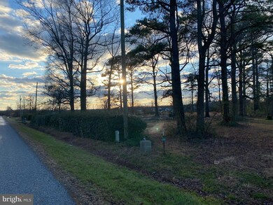 4343 Cattail Branch Rd, Harrington, DE 19952 - photo 4