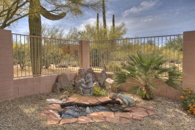 Pond in Backyard