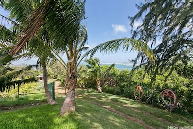 Coconut trees and water service