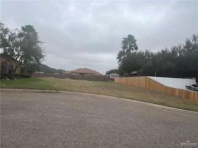 3337 Tepoztlan St, Edinburg, TX 78542 - photo 2