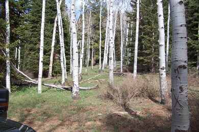 GMA 5 acre parcel 003