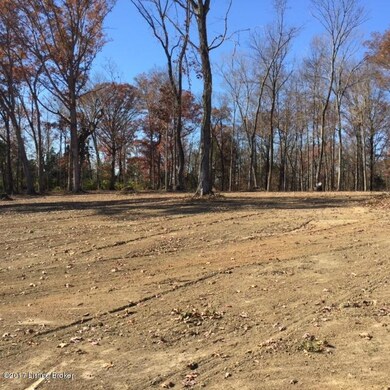 0 Shadow Wood Ct, Mount Washington, KY 40047 - photo 4