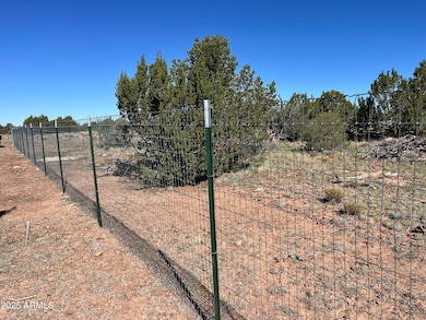 613 E Mountain Cat Rd, Williams, AZ 86046 - photo 7