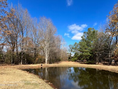 1282 Ivy Dr, Hernando, MS 38632 - photo 4
