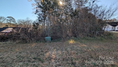 0 Grassy Meadow Ct unit 48, Lincolnton, NC 28092 - photo 5