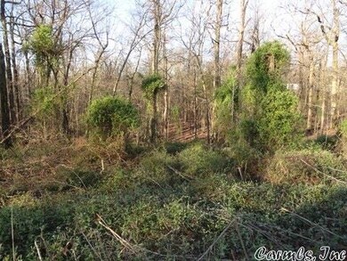 000 Greene 720 Rd, Paragould, AR 72450 - photo 2