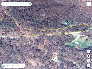 000 Old Ridge Rd, Duffield, VA 24244 - photo 3