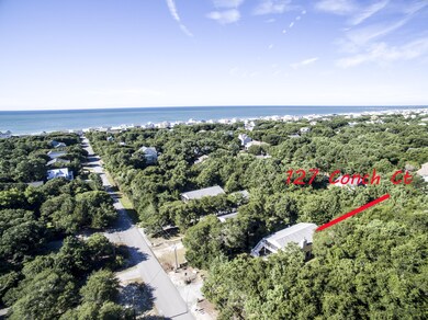 Aerial Showing Ocean