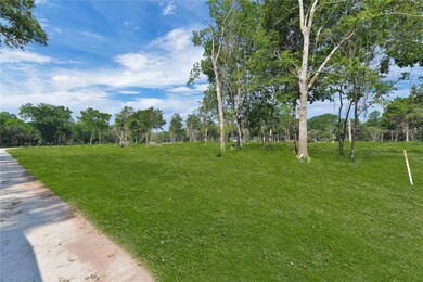 4611 Cottonwood Run, Alvin, TX 77511 - photo 5