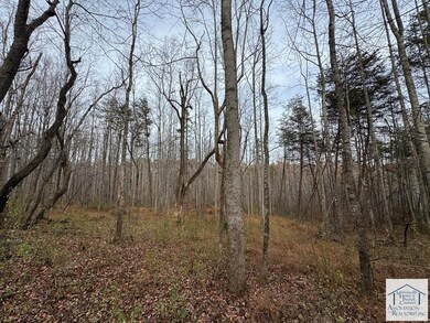 0 Pine Knoll Farms unit 145573, Stuart, VA 24171 - photo 5