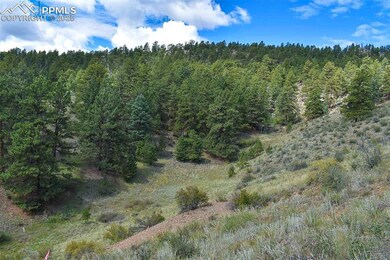 231 Deer Ln, Guffey, CO 80820 - photo 6