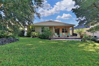 30237 Tokara Terrace, Mount Dora, FL 32757 - photo 6