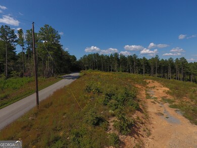 0 Johnson Mountain Rd unit 7401-H 10609069, Rydal, GA 30171 - photo 5