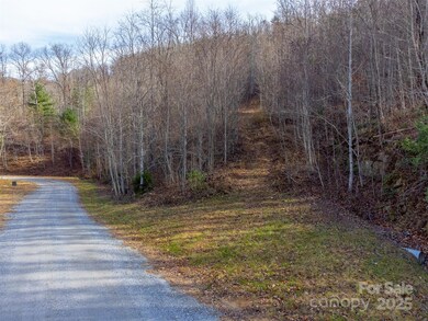 00 Garnet Rd, Sylva, NC 28779 - photo 2