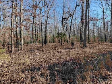 00 Highway 63, Ravenden, AR 72459 - photo 4