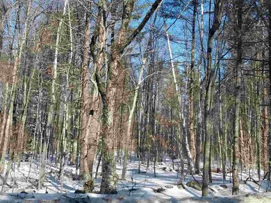 off Wilson Hill Rd, Francestown, NH 03043 - photo 6