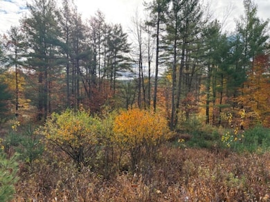 954 State Highway 9n, Keeseville, NY 12944 - photo 2