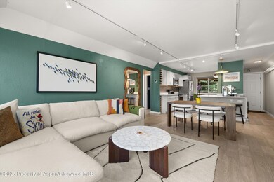 950 Vine St unit 950, Aspen, CO 81611 - photo 4