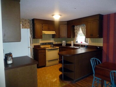 123 Trout Brook Rd, Cotuit, MA 02635 - photo 5