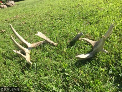 Sheds from the property, deer like this or bigger 
