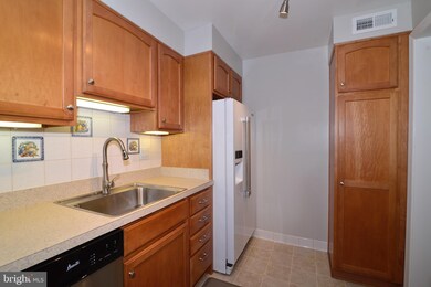 6615 E Wakefield Dr unit A1, Alexandria, VA 22307 - photo 5
