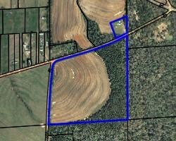 Lot 4 Chipola Rd, Dothan, AL 36301 - photo 3