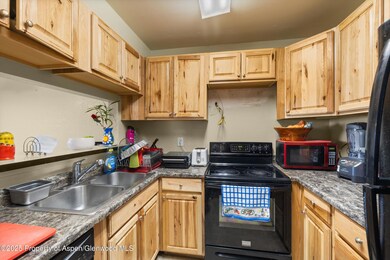 1527 Blake Ave unit 207, Glenwood Springs, CO 81601 - photo 5