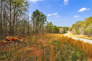 8385 Serenbe Rd, Chattahoochee Hills, GA 30268 - photo 6