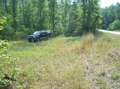 3269 Poplarville Rd, Somerset, KY 42501 - photo 3