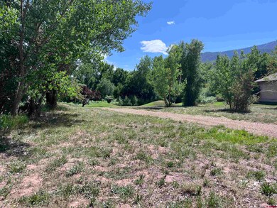 646 Horse Thief Ln, Durango, CO 81301 - photo 3