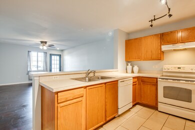 1441 Mcclure Rd unit 22, Aurora, IL 60505 - photo 5