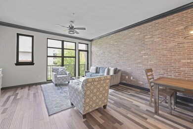 22-web-or-mls-_DSC2425