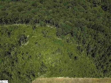 0 Roddy Rd, Woodruff, SC 29388 - photo 6