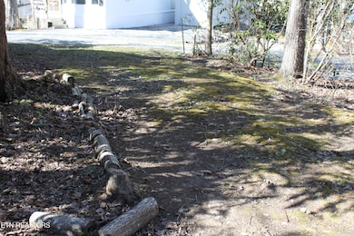 299 Harmony Way, Cosby, TN 37722 - photo 2