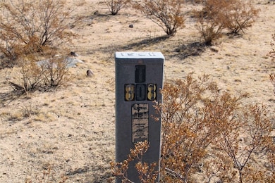 3465 Porter Blvd, Joshua Tree, CA 92252 - photo 4