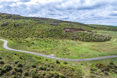 42260 Story Teller Ln, Steamboat Springs, CO 80487 - photo 5