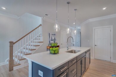 542 Crimson St, Crozet, VA 22932 - photo 5