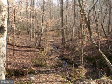 0 Curling Creek Ln unit 1003865754, Rixeyville, VA 22737 - photo 3