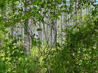 4417 Veterans Memorial Dr, Tallahassee, FL 32309 - photo 5