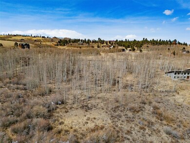 1555 Sheep Ridge Rd, Fairplay, CO 80440 - photo 6
