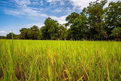 0 Boos Ln unit B 80807, Fredericksburg, TX 78624 - photo 7