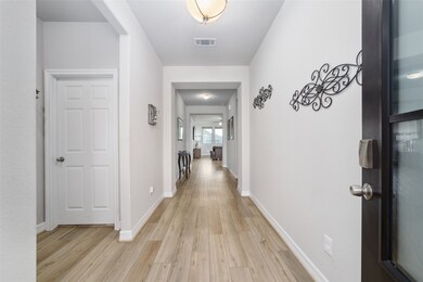 Lavish hallway entrance