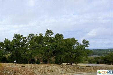 606 Angelica Vista, Canyon Lake, TX 78133 - photo 5