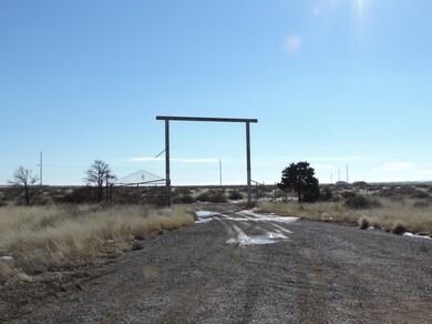 LariatLoop (1)