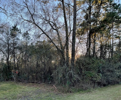 0 Riverbrook Dr unit 46053086, Conroe, TX 77385 - photo 5