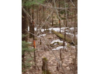 Lot 8 Logging Trail unit Lot 8, Lisbon, NH 03585 - photo 5