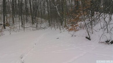 0 - Lot 213 Sleepy Hollow Rd, Athens, NY 12015 - photo 3