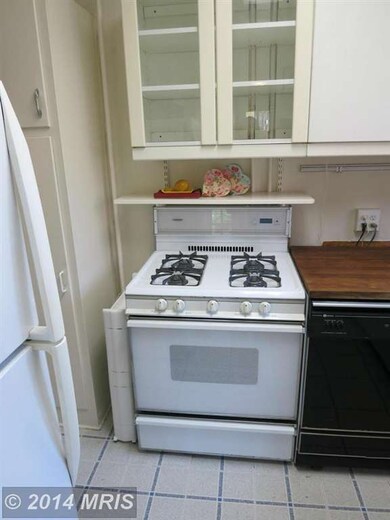 3231 Martha Custis Dr unit 3231, Alexandria, VA 22302 - photo 5