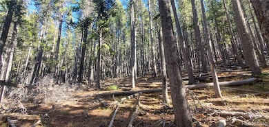 Lot 2682 & 2683 Purnell Ln unit 2682,2683, Fort Garland, CO 81133 - photo 7